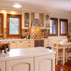 Villa Ilianna Portaria Pelion