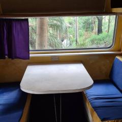 Forest Gypsy Tiny Home