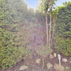 Dom & House - Apartament Orłowskie Molo przy plaży z widokiem na morze