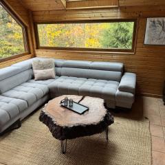 Chalet 12 personnes Mont-Dore