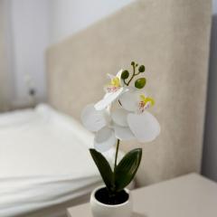 City Escape - Apartament Cochet