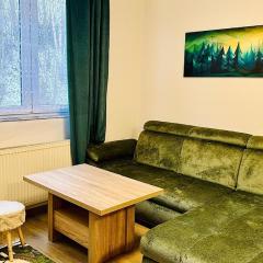 Šumava ski apartment under Zadov 70m2