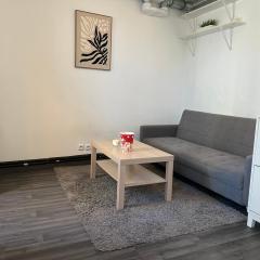 Studio cosy proche Paris & Disneyland - Gare à pied