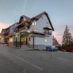 Vila Frații Jderi Straja