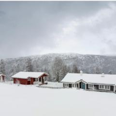 Geilo, two cabins, silence, nature, skiing and summer sports