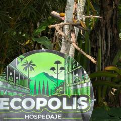 cabaña grande ecopolis hospedaje