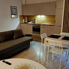 Apartament Studio Centrum