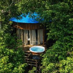 Dacnis tayrona glamping