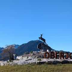 Spatz am Joch Zeit für Berge
