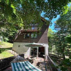 Cabin E Jacuzzi BBQ Hammock Lake Saiko Mt Fuji