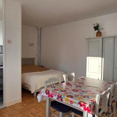 Studio cosy avec WIFI, jardin et parking à La Roche-Posay - FR-1-541-188