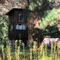 Refugio Torre del Bosque El Marquesado