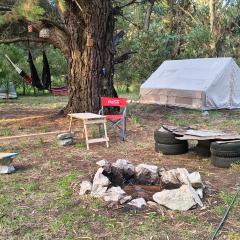 Refugio Nave Bosque El Marquesado