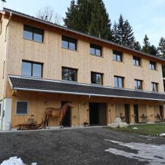 Holiday apartment in Bregenzerwald near forest