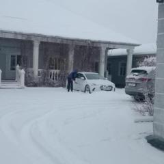 Гостевой дом Дария