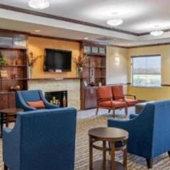 Comfort Inn & Suites Navasota