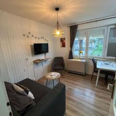 Apartman Borkica