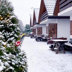 Solina domki-„Solińskie wzgórze”