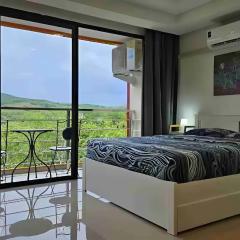 CC620 View of Green Hills