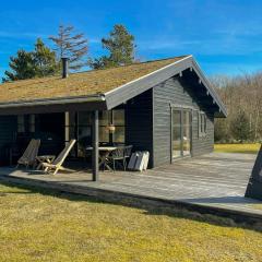 Traditional Summer House Near Blokhus Beach
