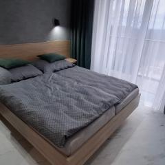 Apartman - Willa Zieleniec