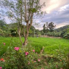 Diyaluma Villa Resort