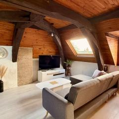 Studio rénové et équipé à Fleury les Aubrais