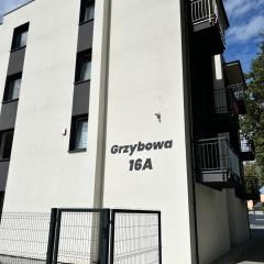 Apartament 42