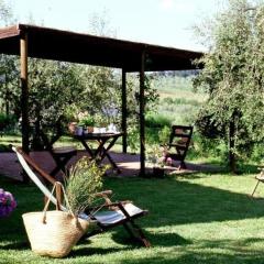 Apartment Wohnung mit Garten in Barberino Tavarnelle by Interhome