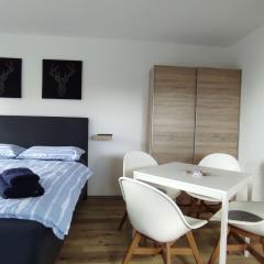 Apartment Appartement in Sankt Englmar mit Großem Balkon by Interhome