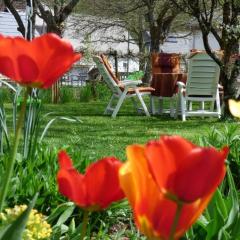 Apartment in Siesbach by Interhome