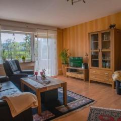 Apartment Haus Herdlitschke by Interhome