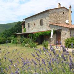 Apartment Wohnung Grecale in Castellina Marittima by Interhome