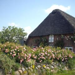 Apartment Fewo Meeresbrise by Interhome