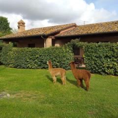 Holiday Home Fabelhaftes Ferienhaus 8 Betten by Interhome