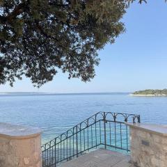 Studio apartman Old town