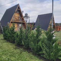 Cabañas Amapola del 66