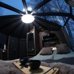 Aurorahut2 at Sauna Retreat