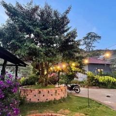 Thảo Nguyên farm&healing