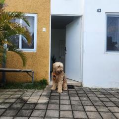 Vista a los Volcanes