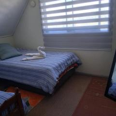 Búho Real Cityhouse