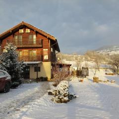 Pensiunea Dorel Codoban