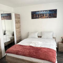 Central Garden Palace Iasi