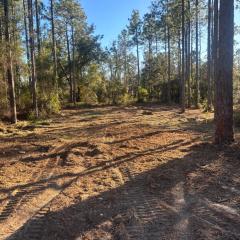 Nice 4,000 sqft vacant lot perfect for camping weekend get away
