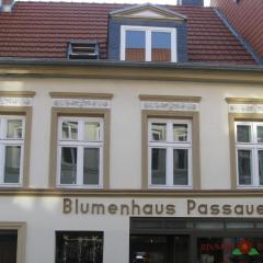 Apartment Moderne Ferienwohnung mitten in Greifswald by Interhome