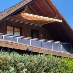 Seeadler am Schweriner See - ABC37 - nur Feriengäste!