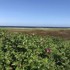 Strandgut Wackerballig