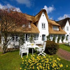 Entennest im Witthüs