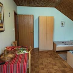 One Bedroom Magic Room 1