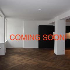 Zentrale Altstadtwohnung Rapperswil, Zuerich, See